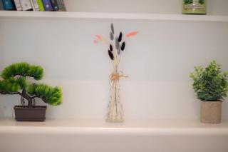 Perfect Location 4bed 2 bath Spacious Apartment - London - 5