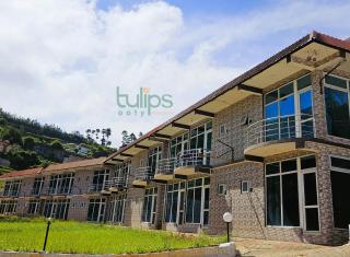 Tulips Village Resorts - Ooty - 4