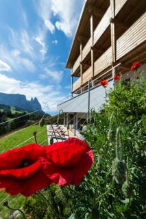 Hotel Chalet Dolomites - Alpe di Siusi - 8