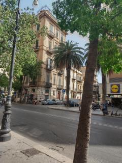 Hibrido - Palermo - 5
