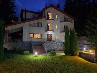 Casa Cristian - Sinaia - 9