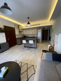 Luxurious Rooftop Appartment - Amman - 8