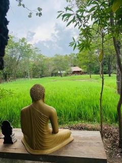 Sahana Safari Eco Retreat - 7