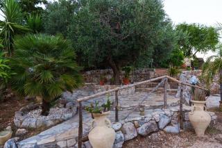 Al ficodindia - Scopello - 1