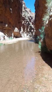 Maison D'hote Amazir - Boumalne Dades - 6