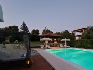 Villa ChrysPa Attica - 1