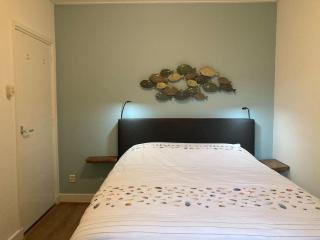 Beautiful holiday home Zeeroos in Zeeland - Dishoek - 8