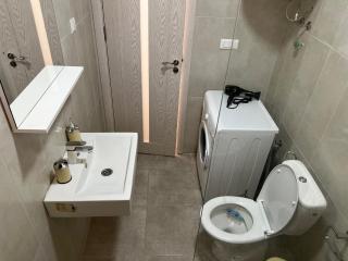 Golden parrot - Podgorica - 1