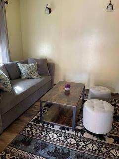 ParkWay Yellowstone Guest House Apartment #3 - Gardiner - 6