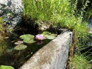 Provencal farmhous Lubéron, swimming pool - Revest-des-Brousses - 3