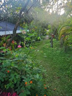 Hotel Campestre Villa Nico - Bochalema - 8