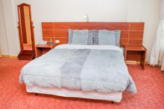 HOTEL FLOR DE LOS ANDES - 6