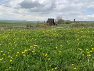 Wild Rest - Sevaberd - 9