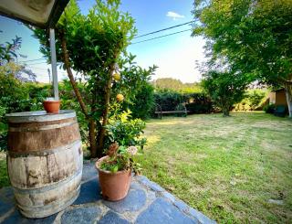 Finca María - 1