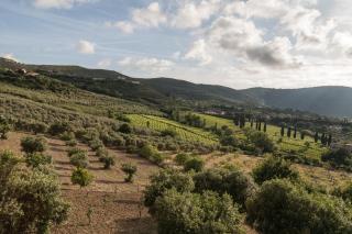 Casa Vacanze Relax - Agropoli - 2