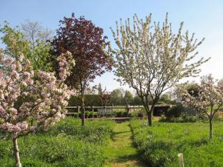 The Cottage Barn - Botesdale - 1