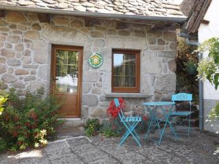 Charmante maison de campagne avec terrasse, cheminée et jardin, animaux acceptés, près des monts du Cantal. - FR-1-742-33 - Ladinhac - 0
