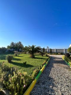 Ponari apartments - Rrotull - 3