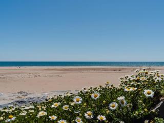Appartement T2 à Narbonne-Plage - 30m de la plage, balcon, 4 couchages, parking gratuit - FR-1-409A-27 - 3