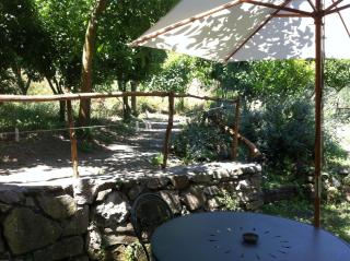 Gli Ulivi Agriturismo - Sant'Agnello - 7