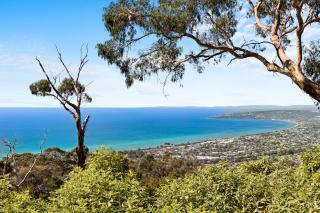 Dream Views at Arthurs Seat B & B - Arthurs Seat - 9