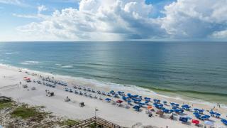 Phoenix Orange Beach 901 condo - Orange Beach - 3