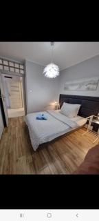 Apartament Calamo Park - 8