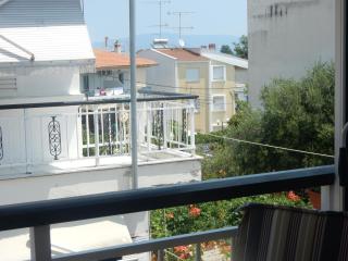 Flamingo - Chaniotis - 3