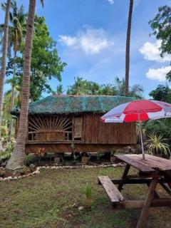 Elvira's Homestay - Looc - 8