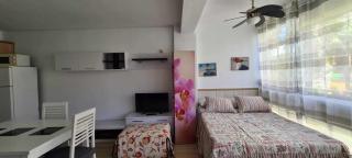 A&N Gabarra 2 - Torre del Mar - 5