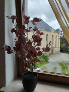Pension Eberhart - Treuen - 1