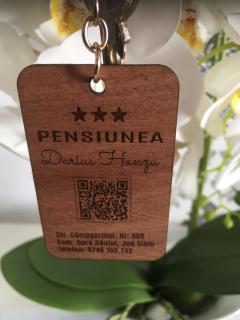 Pensiunea Hanzu Darius - 1