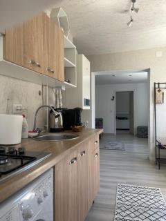 Casa de vacanța - Brăila - 3