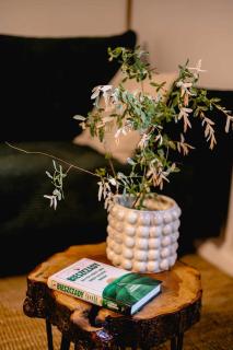 ZaBieszczaduj - apartamenty do wynajęcia - Lutowiska - 1