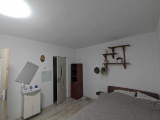 Garsoniera in apartament liber - Tulcea - 7