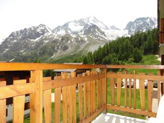 Marmottes F43 - Arolla - 3