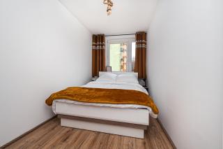 Apartament Octopus Sopot Kamienny Potok - Sopot - 5