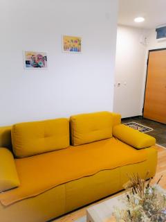 Apartman Kuzmanović - Zlatibor - 9