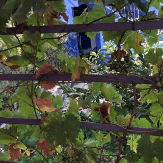 U Villi BB2 Gornji Zalik bb - 4