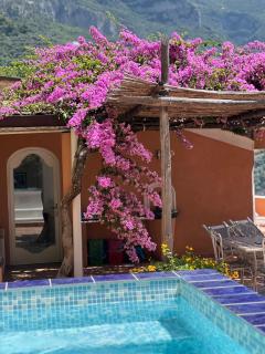 Villa Ambra Positano - Positano - 7