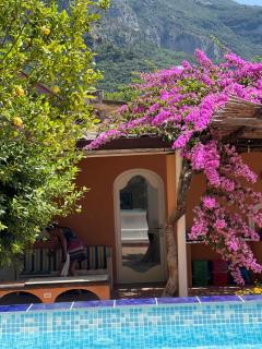 Villa Ambra Positano - Positano - 8