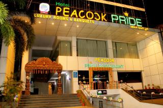 Hotel Peacock Pride - Karīmnagar - 8