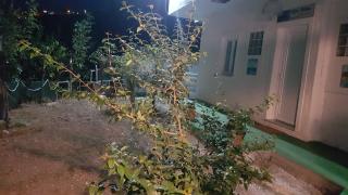 B & B Villa Matisse - Laureana Cilento - 7