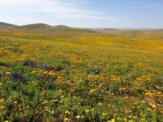 Namaqualand Eco Lodge - 4