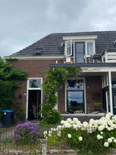Huis met de Leeuwenkoppen - Dieren - 9