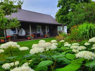 NAMIŅŠ PIE JŪRAS - 7