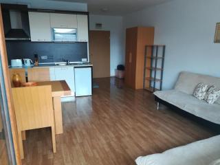 Large studio apartment , 4* spa resort, The Vineyards. - Aheloy - 2