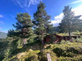 Timber Lodge in Uvdal Skisenter VIEW/WIFI - 7