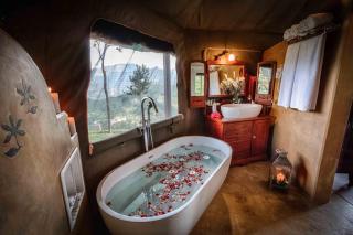 Madulkelle Tea and Eco Lodge - Kandy - 4