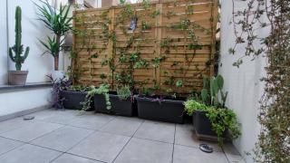 My Little House - Rome - 8
